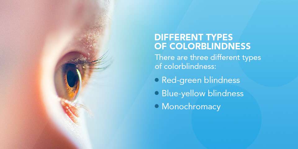 01-Different-Types-of-Colorblindness.jpg
