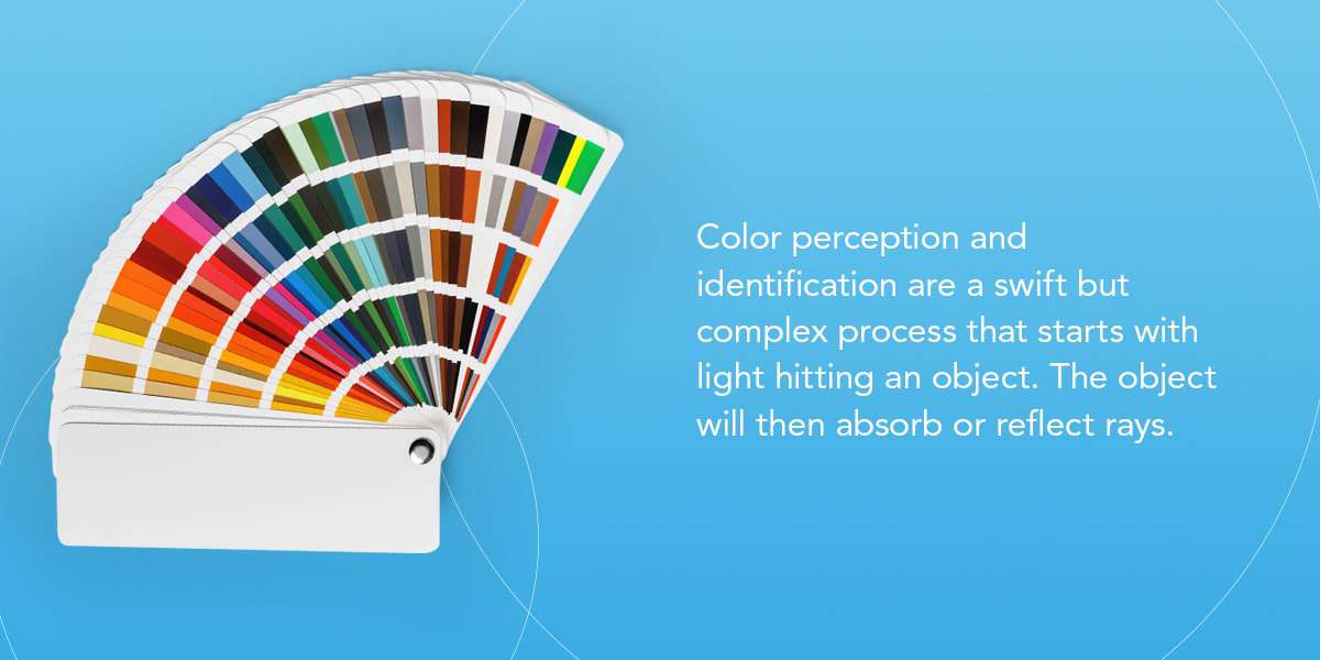 What Is Color Measurement and Why Do We Measure Color?