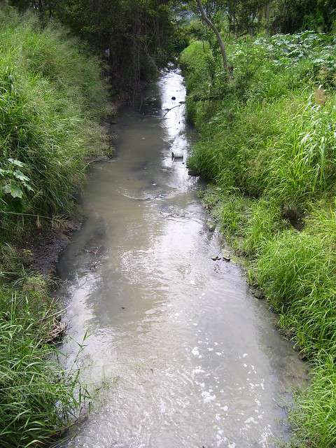 3027633774_7d9cb1c519_z.jpg