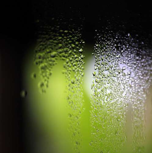 6018856509_5fd5a724f0.jpg