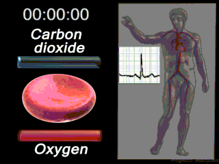 Erytrocyte_deoxy_to_oxy_v0.7.gif