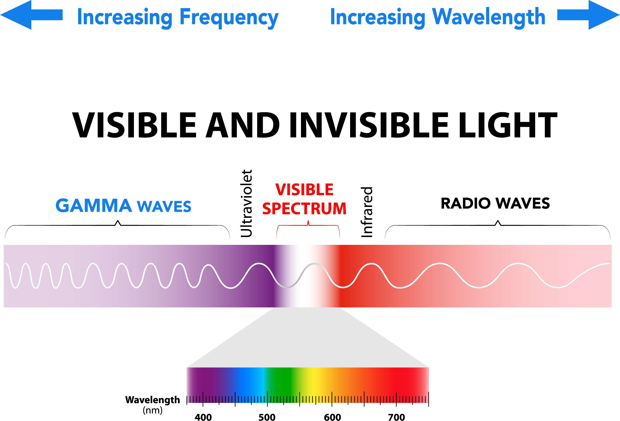 Visible-Invisible Spectrum(1).jpg