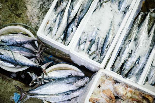 fish-oil-quality-3.jpg