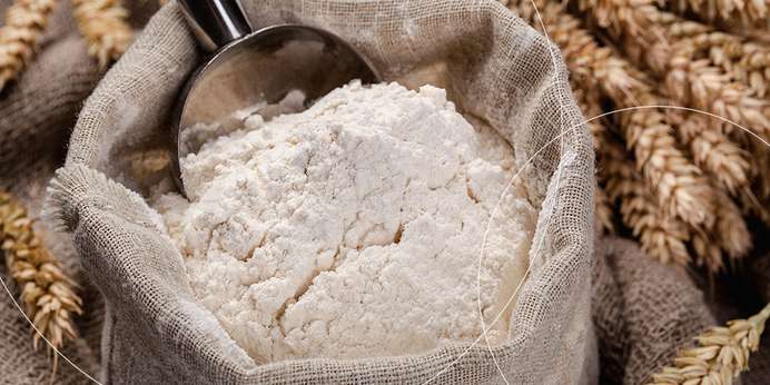 Things to Know About Flour Color Measurement