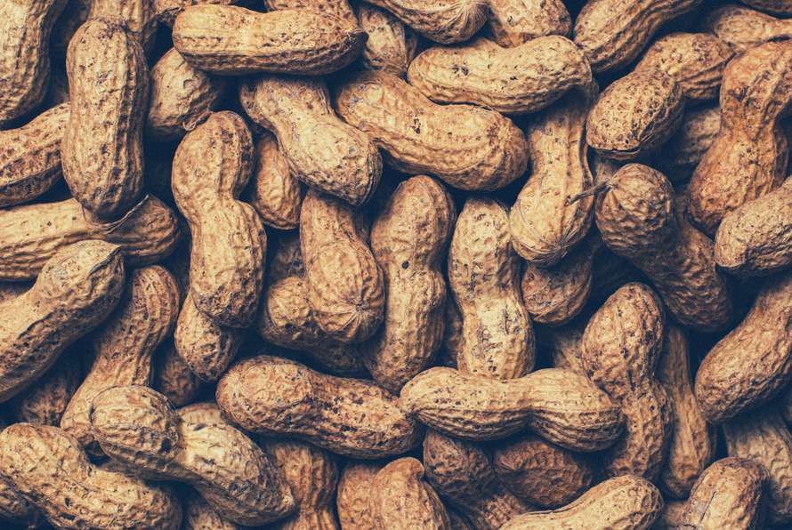 food-peanuts-large (1).jpg