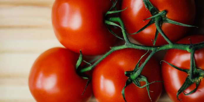 food-wood-tomatoes-large.jpg