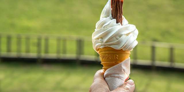 ice-cream-cone-melting-hot-ice-cream-scoop-161420.jpeg
