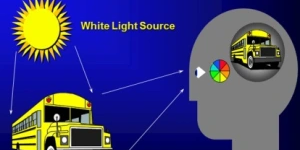 visual-observing-situation-model.webp