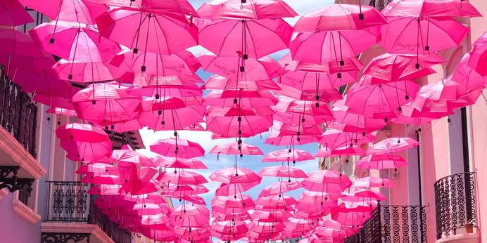 The Color Pink — History, Meaning and Facts