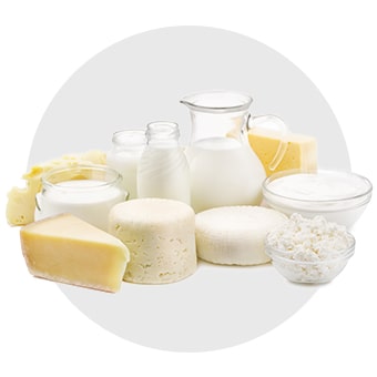 A variety of dairy products for food