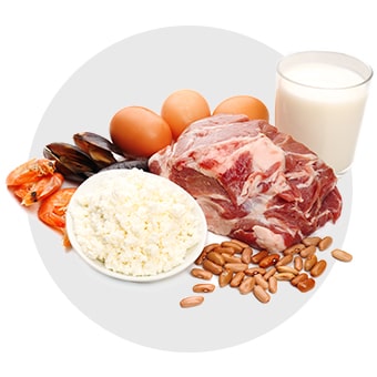 Assorted proteins, milk, eggs, cheese, and meat for food.